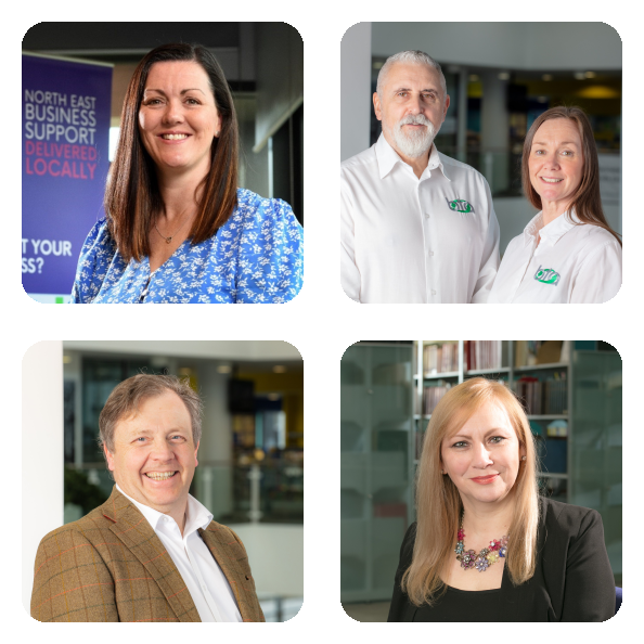 BIPC North East Experts in Residence